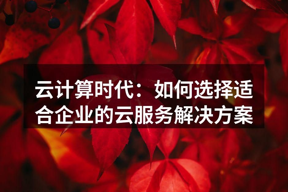 云计算时代：如何选择适合企业的云服务解决
